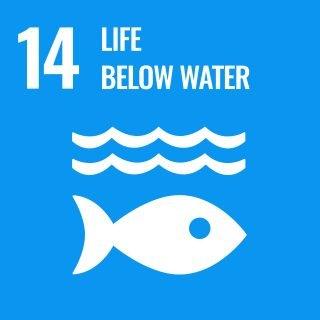 SDG 14 - Ekosistem Lautan