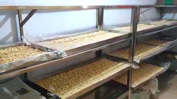 Tampak ruangan fermentasi tempet modern yang dilengkapi dengan pengatur suhu dan kelembaban udara berbasis otomatif, serta dilengkapi susunan rak dari bahan stainless steel yang food grade.